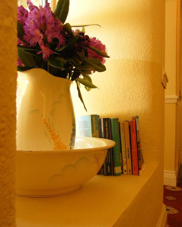 Druid Cottage Kenmare Εξωτερικό φωτογραφία